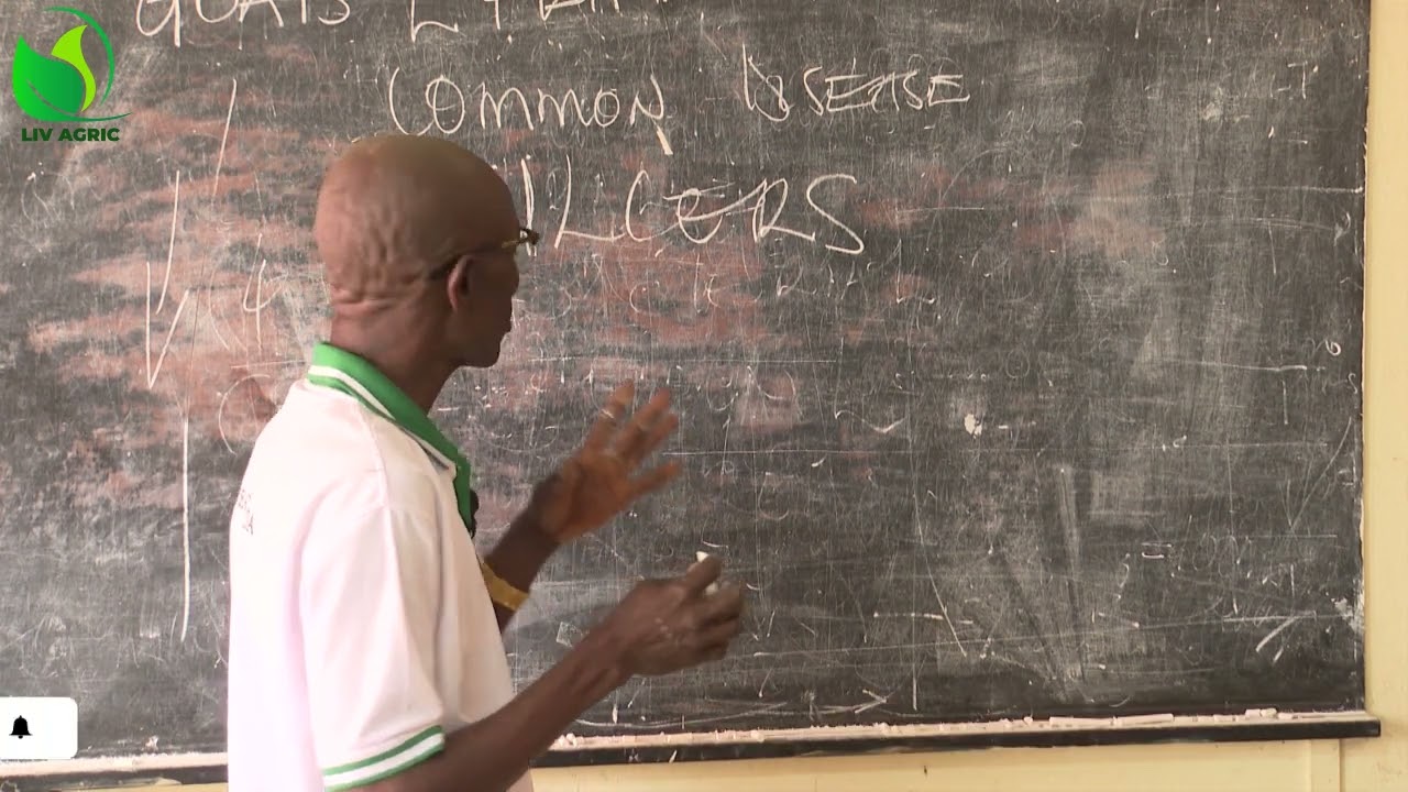 The Dangers of Chemical Medicine (Weeds Master)- Dr. Isa Luiagre