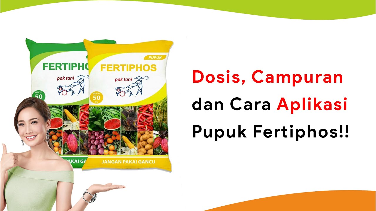 Fertiphos Pak Tani! Dosis, Waktu, Cara Aplikasi dan Campurannya