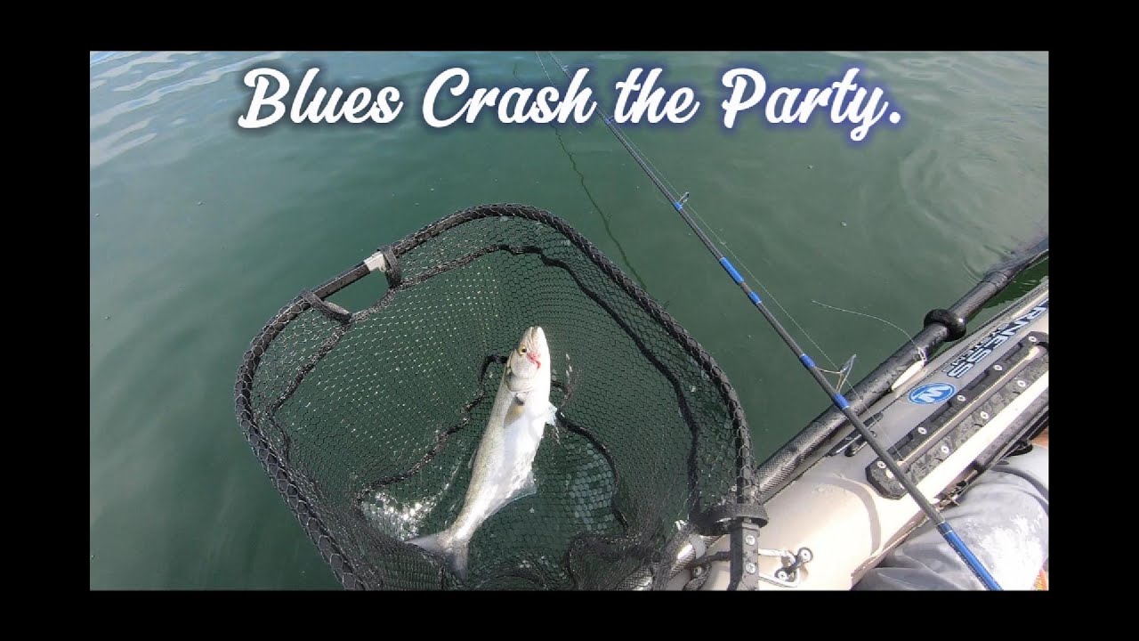 Kayak Fishing Long Island Sound.