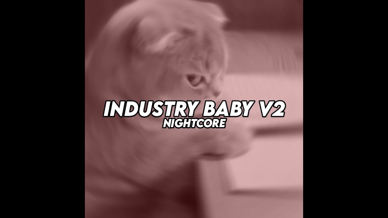 DJ Industry Baby V2 Nightcore - Viral TikTok 2025 (SMXXL x Radif WG)