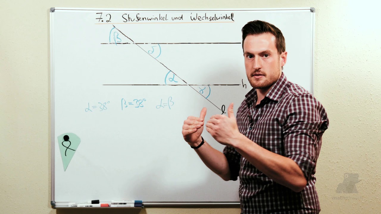 Stufen und Wechselwinkel (Klasse 7)