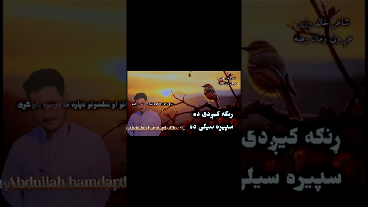 #viral #viralvideo 