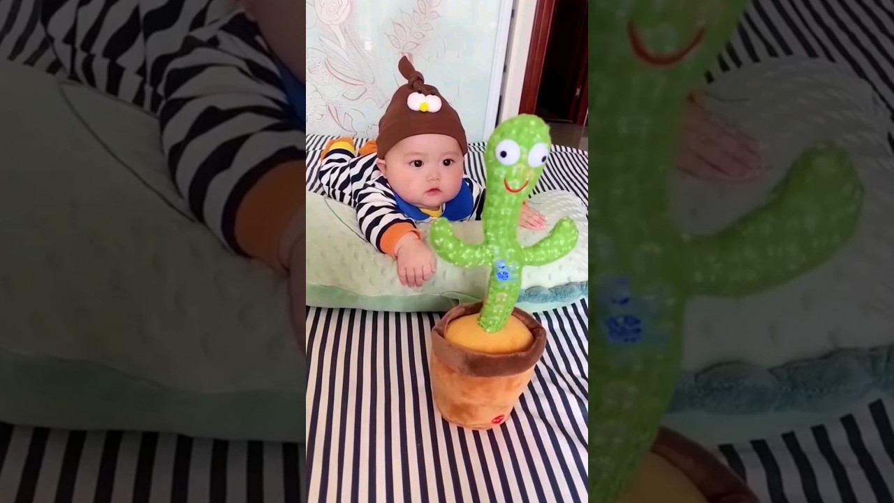 Cut Dancing Cactus toy #toy #dancingcactus #cactus