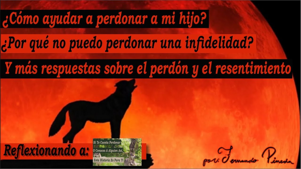 ¿Cómo aprender a Perdonar? La sabia reflexión  que necesitas escuchar