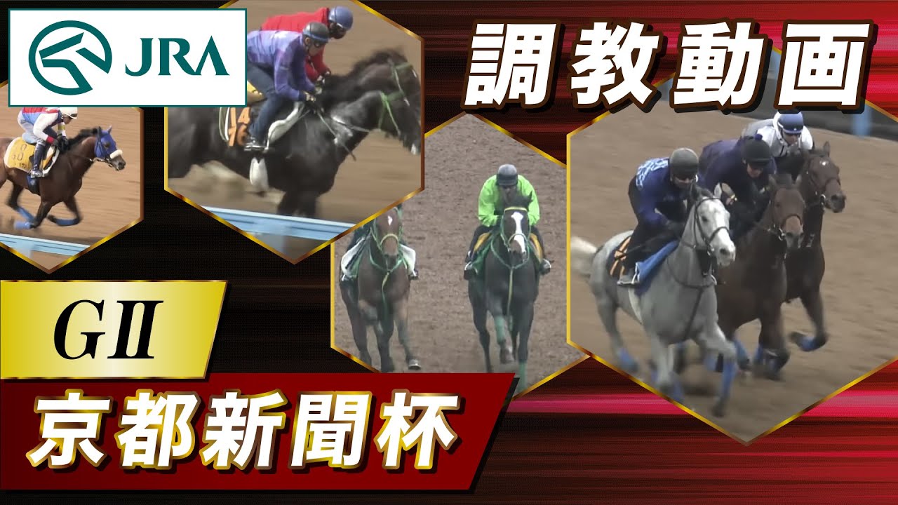 【調教動画】2025年 京都新聞杯｜JRA公式
