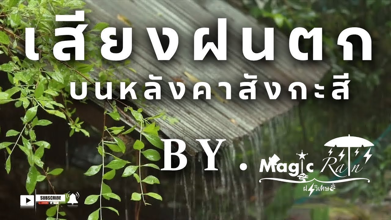 ฝนตกบนหลังคาสังกะสีสร้างบรรยากาศที่เงียบสงบและผ่อนคลาย ช่วยให้คุณสามารถหลับสนิทในคืน