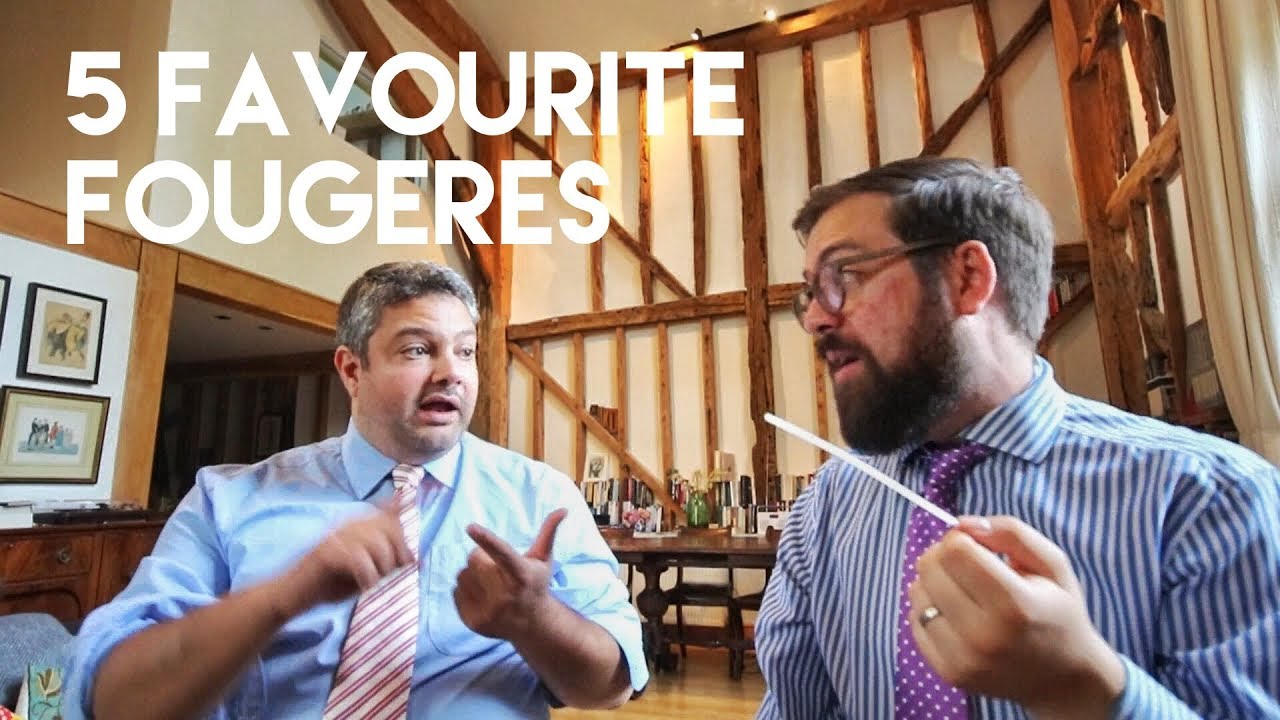 5 Favourite Fougeres
