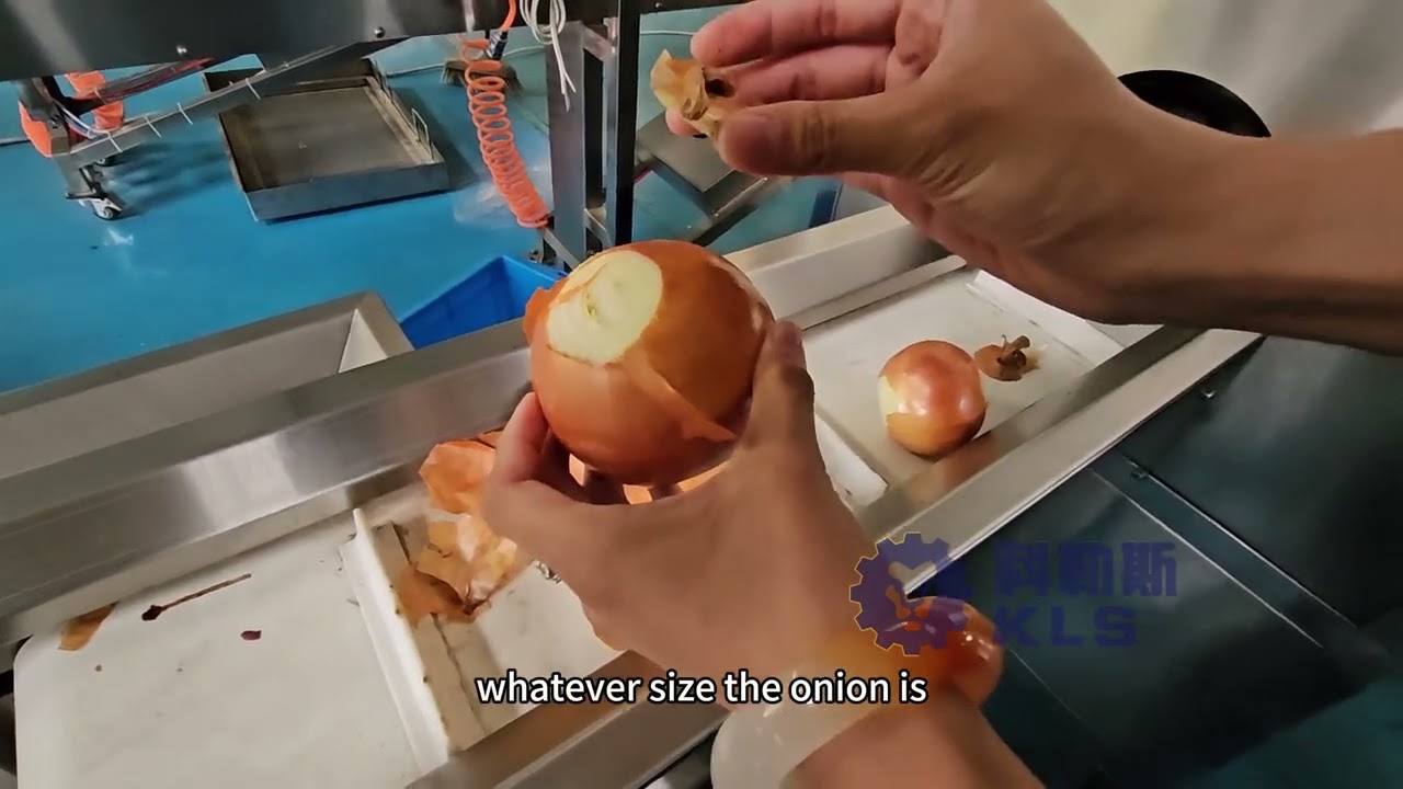Onion top and tail cutting machine🧅🧅🧅