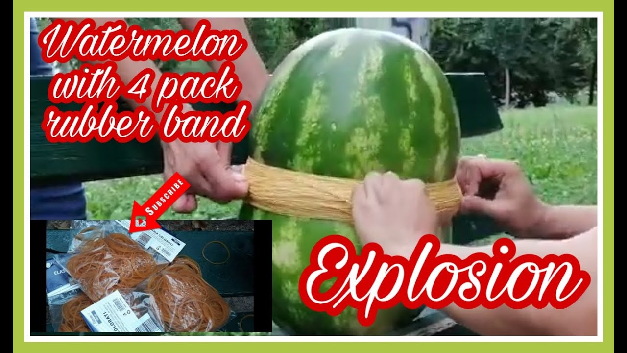 WATERMELON EXPLOSION WITH 4 PACKS OF RUBBER BANDS