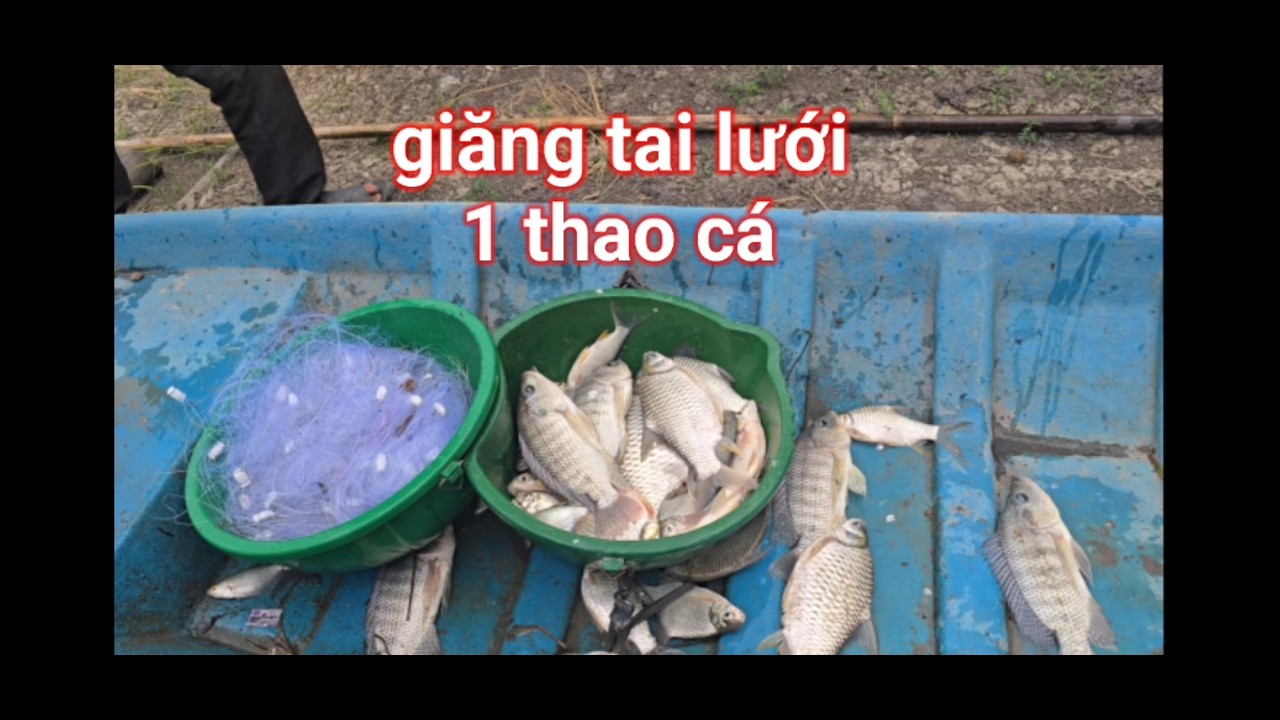 việt kiều về quê đi giăng lưới kiếm mồi nhậu