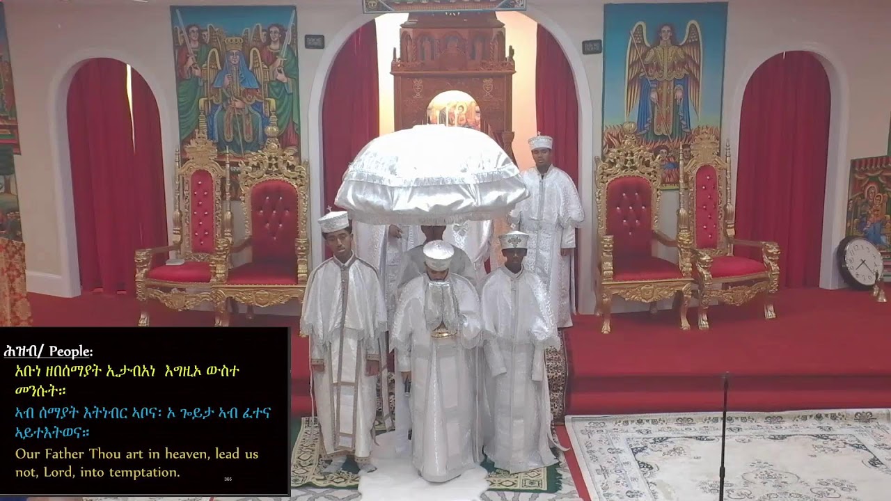 ሥርዓተ ቅዳሴ | ጥሪ 11 2018 ዓ.ም | January 19, 2026 | መካነ ሕይወት መድኃኔ ዓለም ካቴድራል ኦ.ተ.ቤ.ት