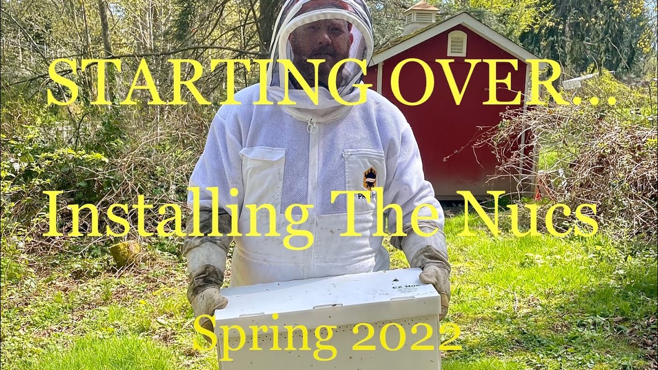 Starting Over. Installing Nucs.