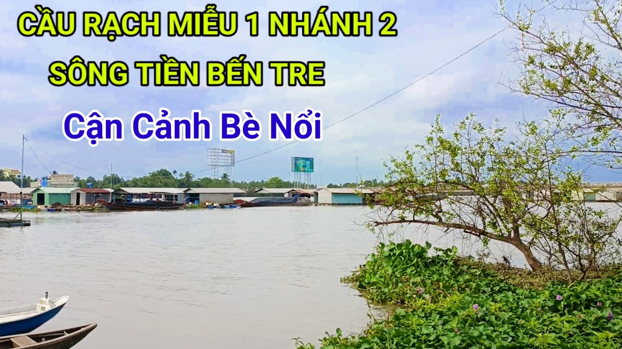 Cận cảnh bè nỗi trên sông đoạn Sông Tiền nhánh 2 Cầu Rạch Miễu 2 #songque 