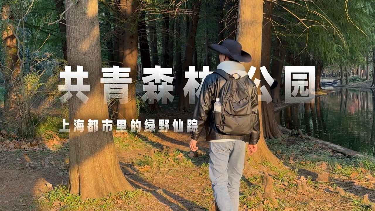 上海都市里的'绿野仙踪'，一代人的童年回忆【阿豪闲不住】