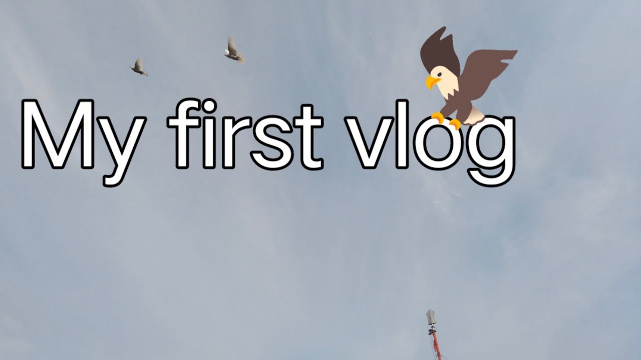 My first vlog 