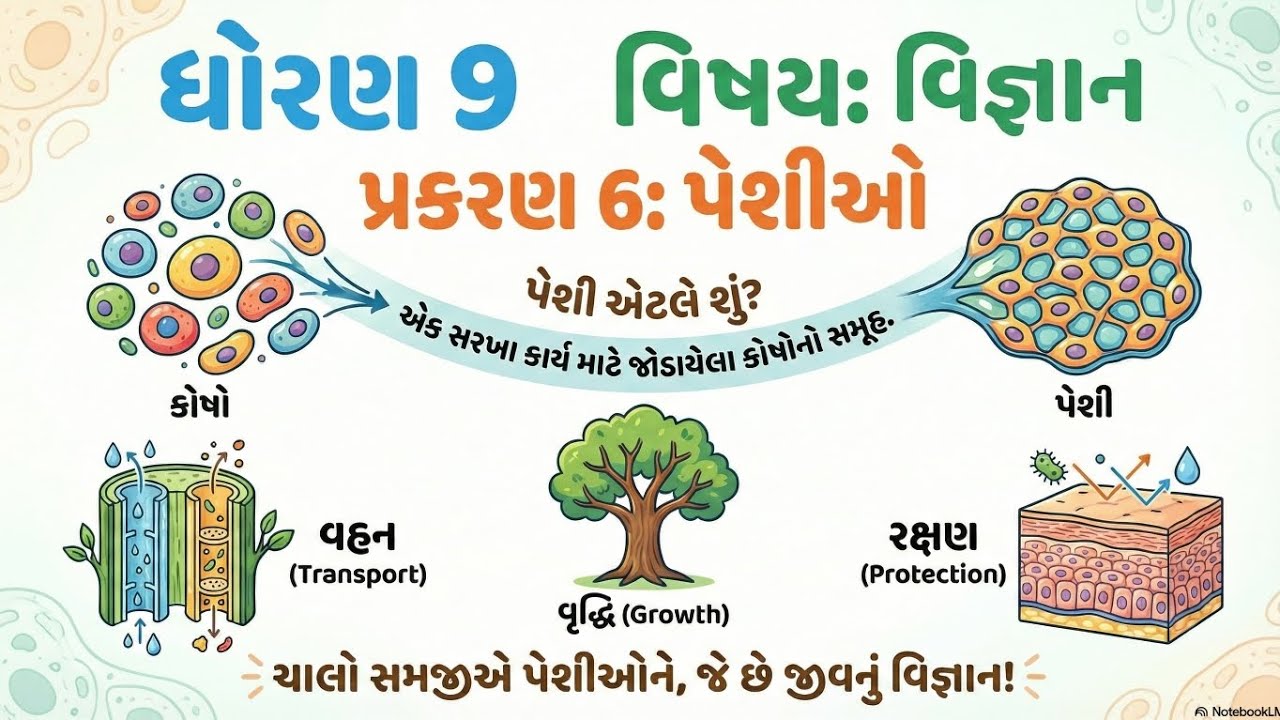 Std 9 science chapter 6 પેશી 