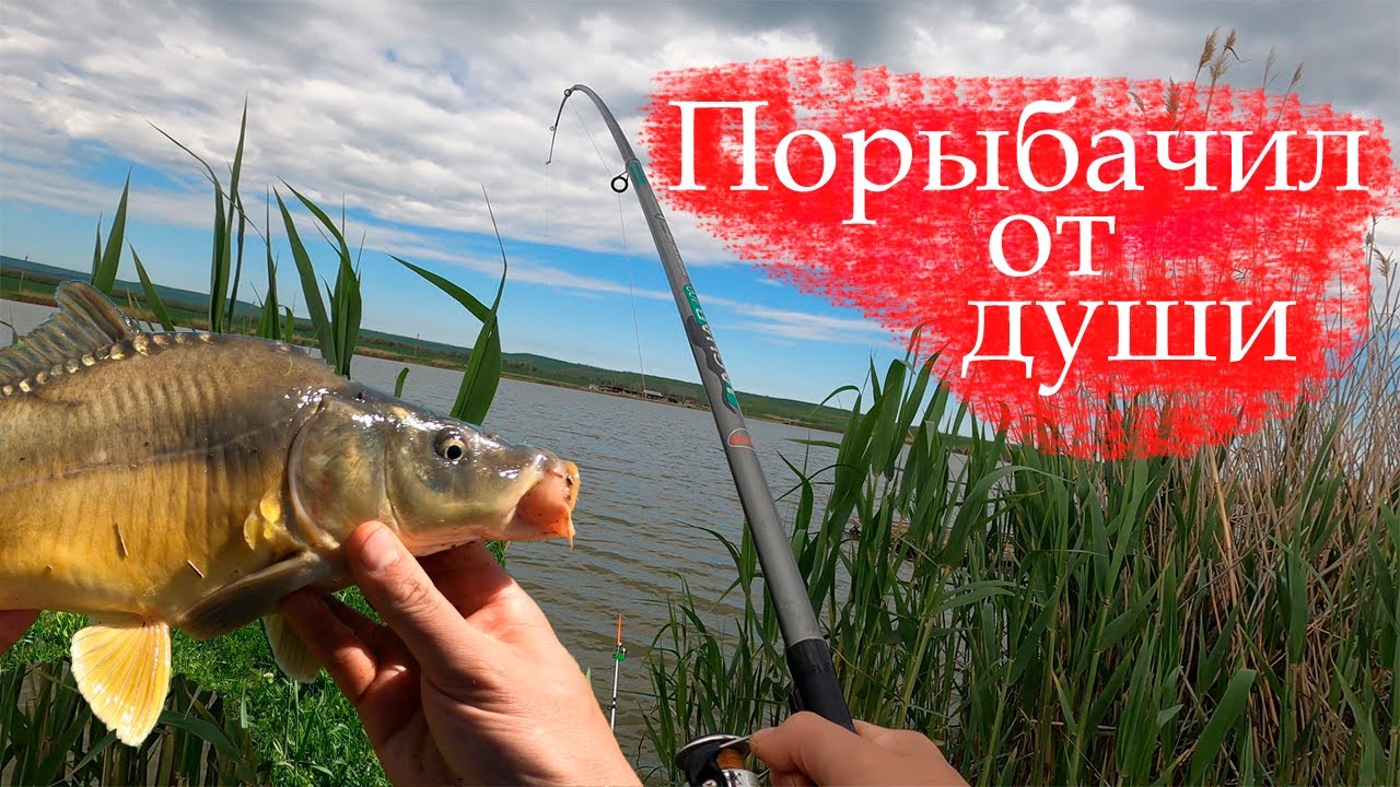 Думал мелочь, а там...Рыбалка без всяких приключений. Ставропольский край, Сенгелеевское Егорлык