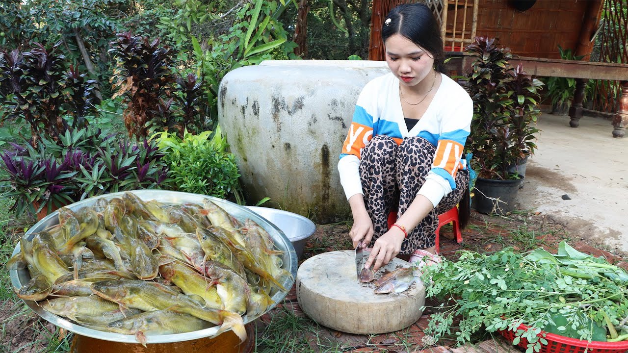 Enjoy Country Life: Harvest green vegetables around my kitchen for cooking - Country food cooking
