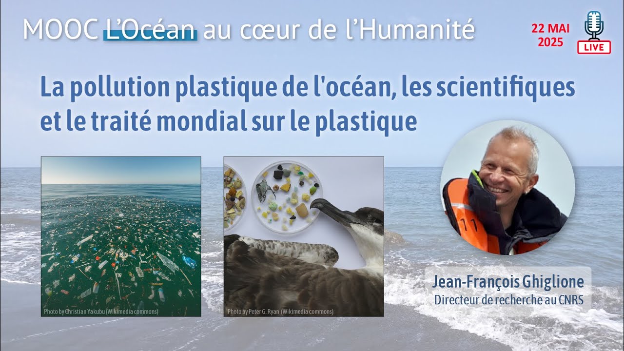 La pollution plastique de l'océan, les scientifiques et le traité mondial sur le plastique