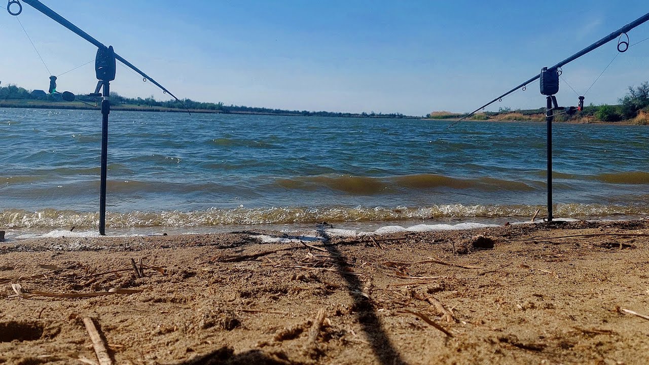 Таких карасів я ще на цій водоймі не ловив. Один більший за інший.