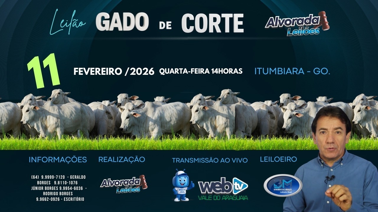 LEILÃO ESPECIAL ALVORADA LEILÕES PRIMEIRO DO ANO 2026 28/JANEIRO/2026 QUARTA-FEIRA 14h ITUMBIARA GO