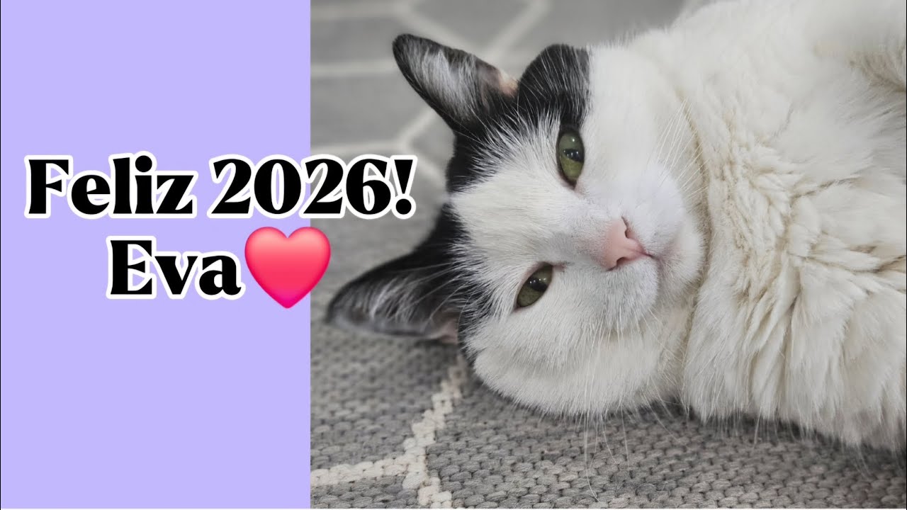 Feliz año 2026!Humor/Gatos/Eva