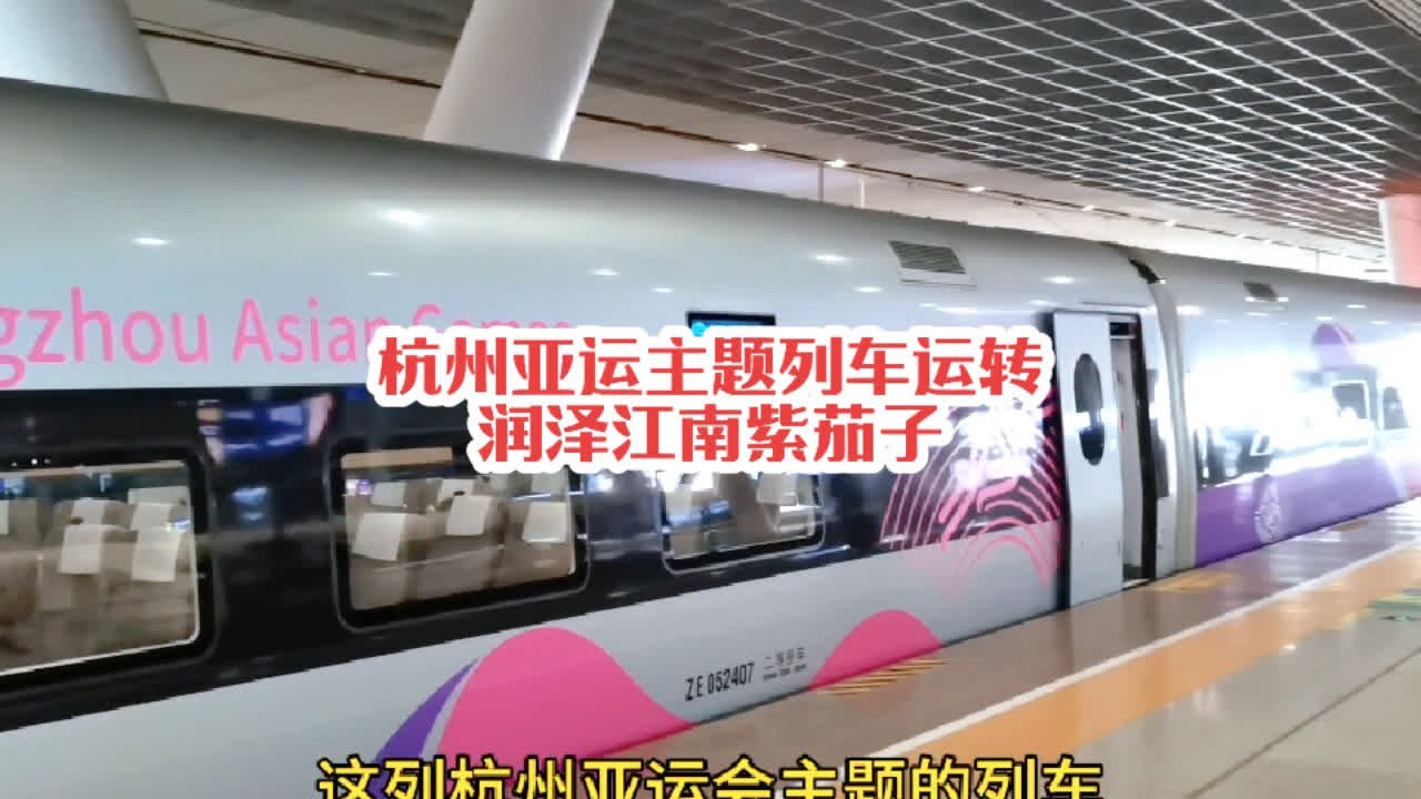 #火车迷爱好者 实拍杭州亚运主题高铁列车运转，复兴号智能动车组CR400BF-Z-0524润泽江南#沿途随拍 #记录行程 #复兴号智能动车组 #中国高铁