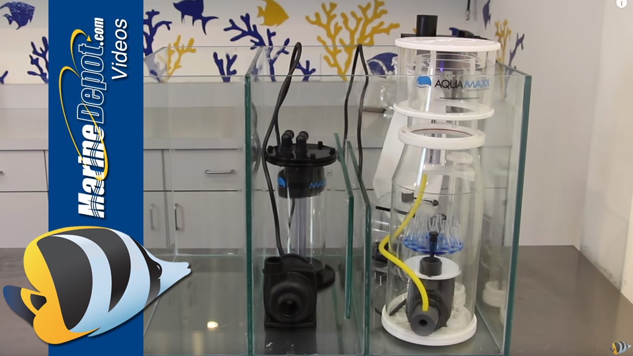 How to Build a Custom Sump for Your Reef Aquarium