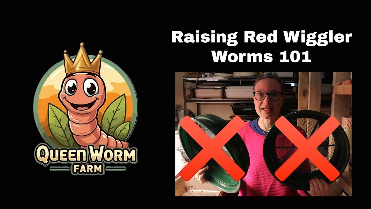 NO Sifting Required! Do This Instead to Get the Cocoons and Worms out of the Castings!