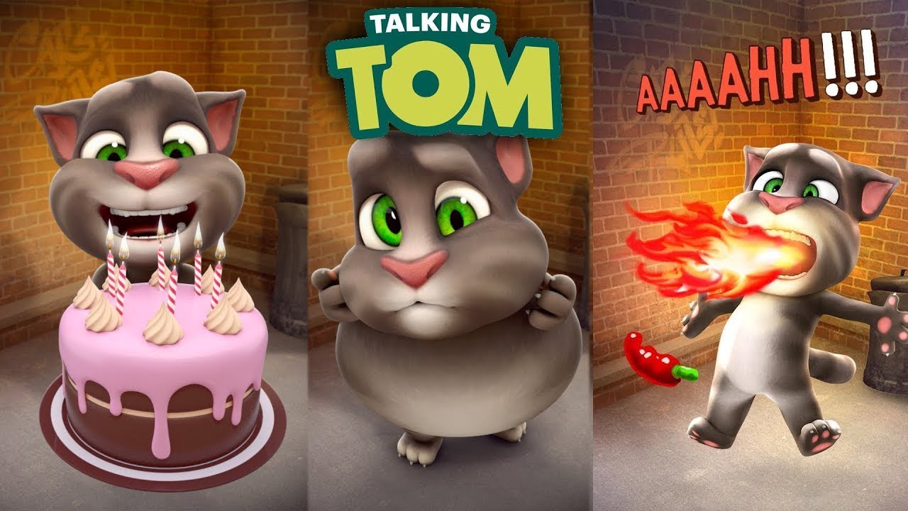 talking tom game