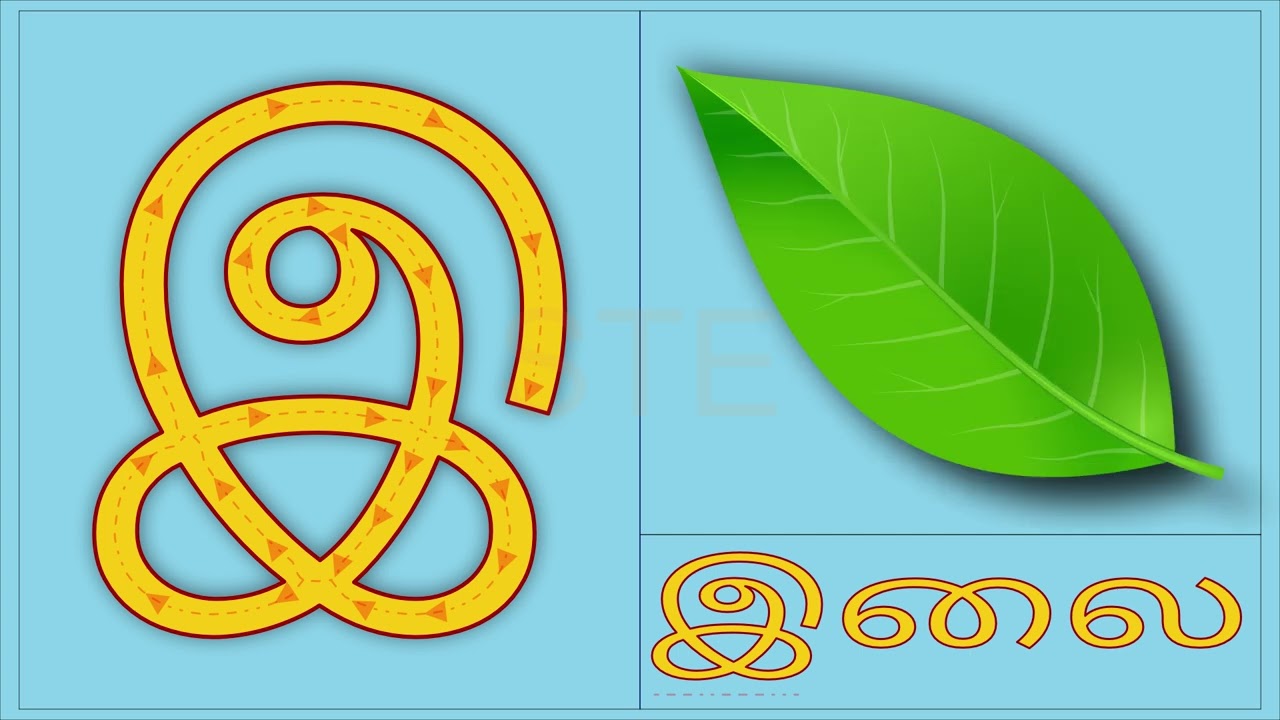 இ வரிசை எழுத்துகள் | இட்லி, இலை, இஞ்சி, இரால், இனிப்பு | Tamil Alphabet for Kids
