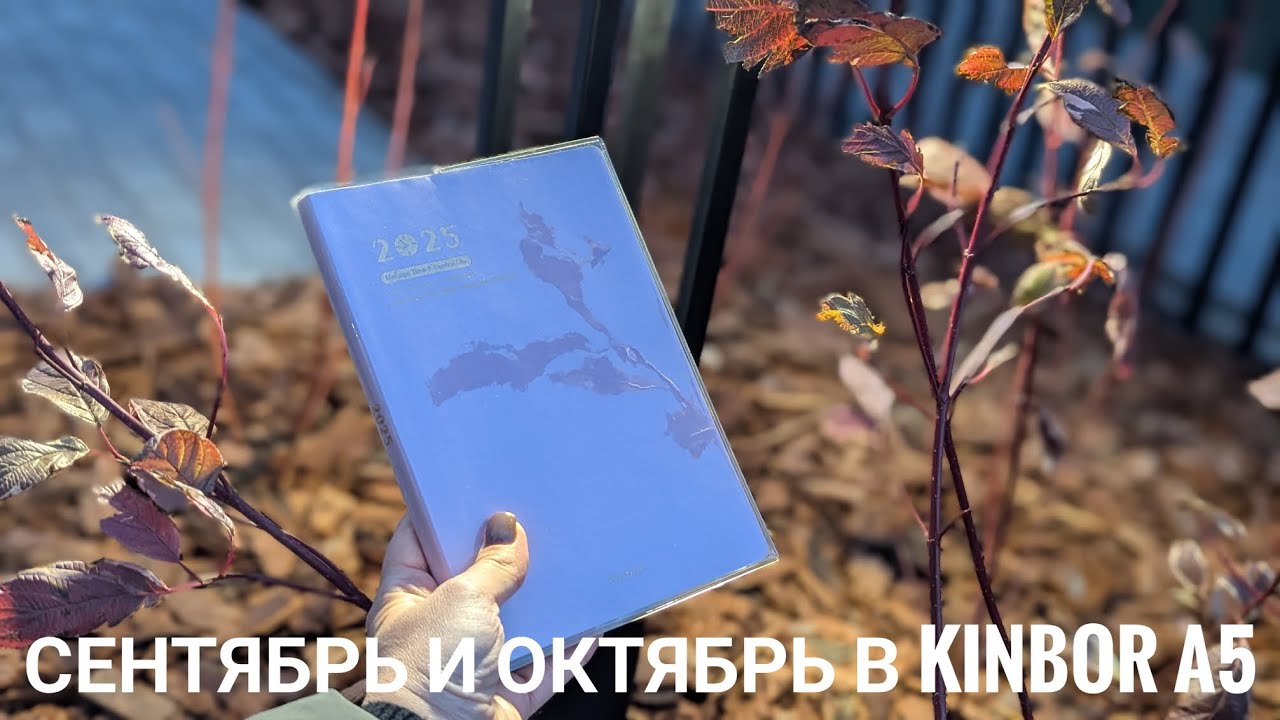 Развороты сентября и октября в Кинбор А5 // наполнение пенала // самодельные пины и подвески