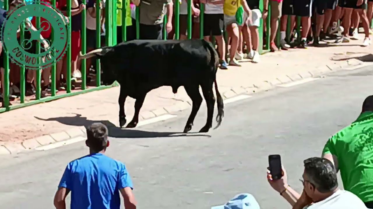 FIESTAS BOGARRA 2022