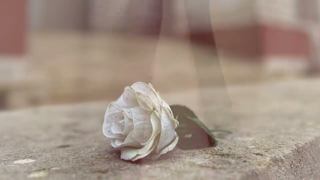 Tears of the Fallen