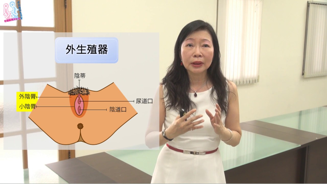 2.1 性別器官大不同