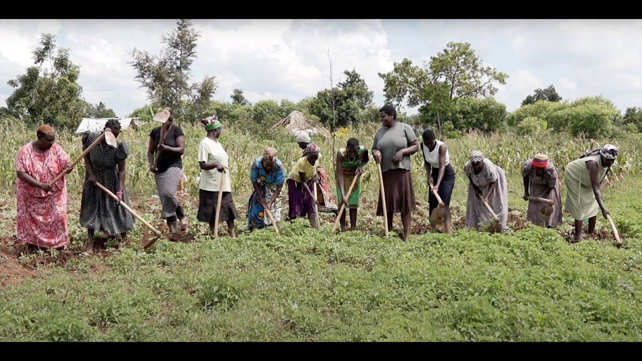 Biovision Africa Trust pitch video 2024