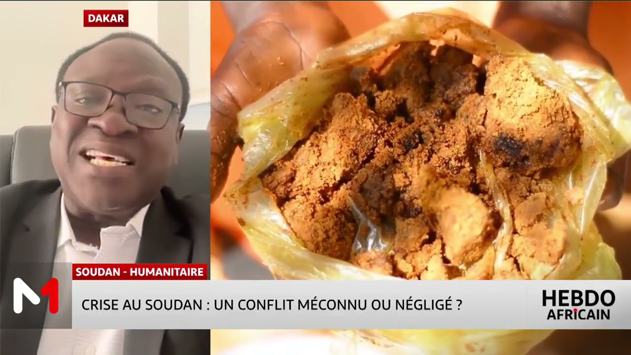 #LHebdoAfricain | Crise au Soudan : un conflit méconnu ou négligé ? Analyse de Bakary Sambe
