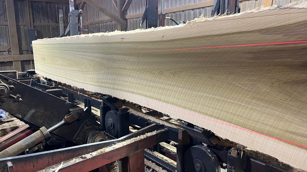 Relaxing Sawing and the Saw-Mill Green Chain When Sawing 4/Quarter Poplar! #186