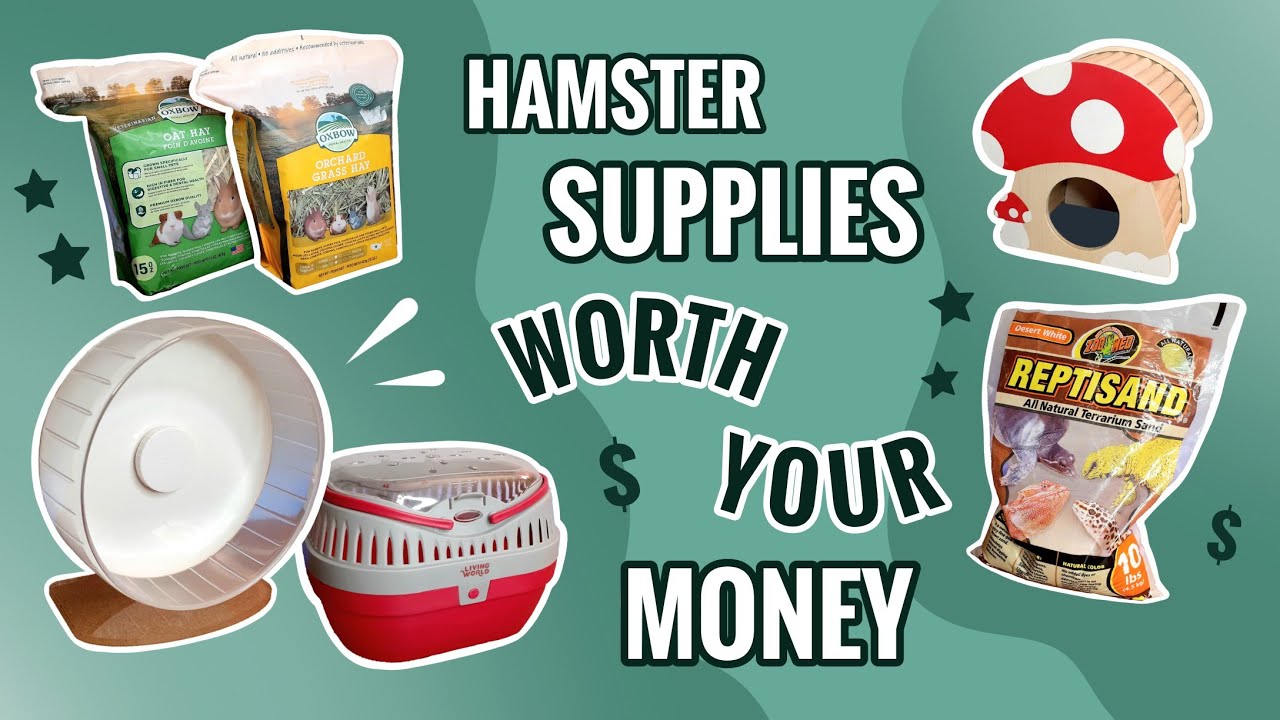 Hamster Supplies Worth Your Money