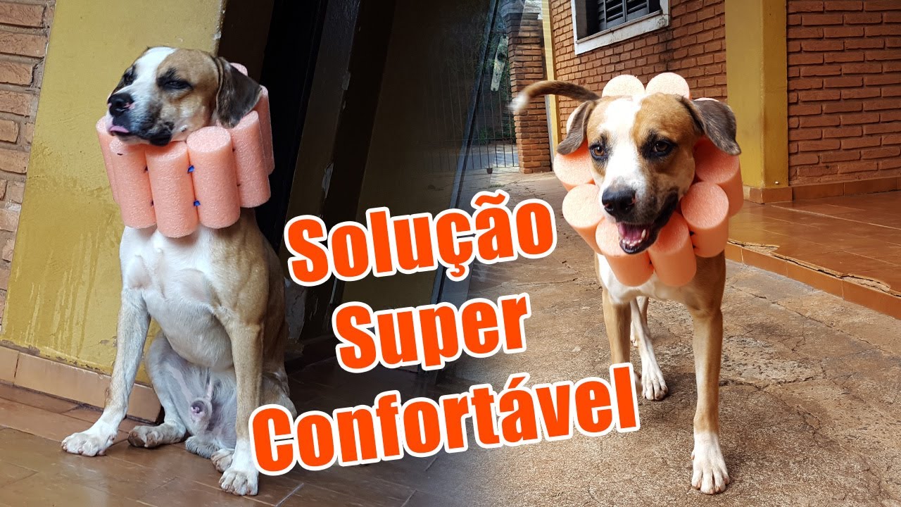 Colar para Cães que Funciona e mais Confortável