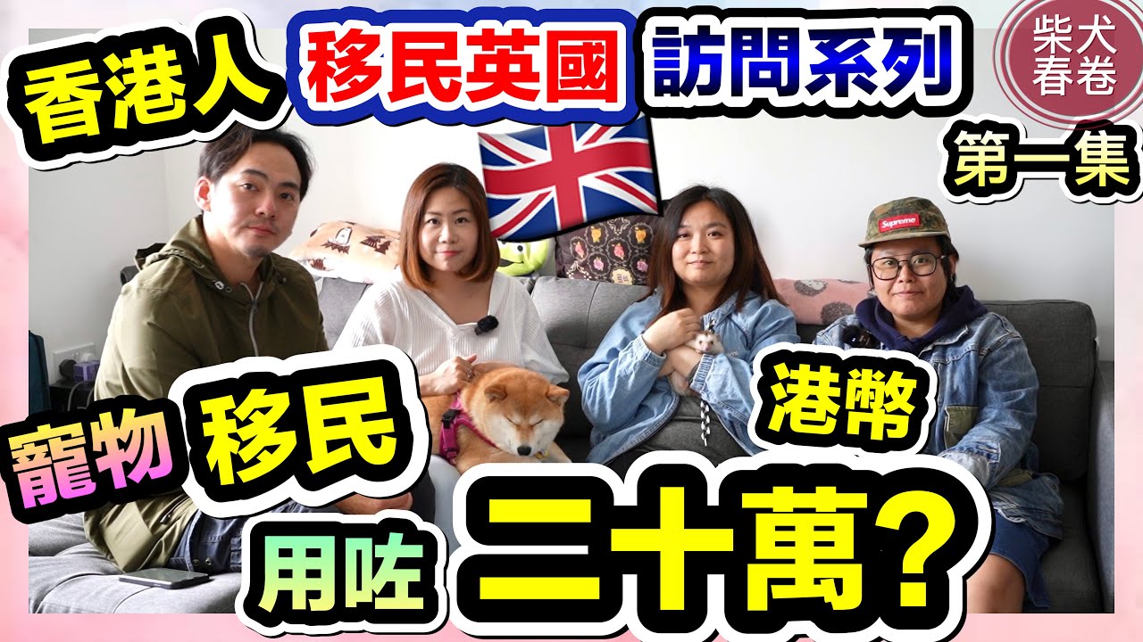 【香港人移民英國系列EP1】你會用二十萬港幣做咩呢? ｜寵物刺蝟移民血汗史分享訪問｜不棄養｜柴犬春卷移民英國｜寵物移民英國曼城｜Shiba Inu Manchester｜繁體中字