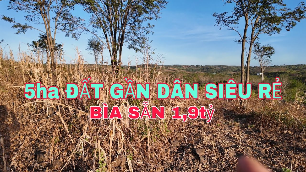 Nhượng lại 5ha đất trồng càphê bìa sẵn gần dân 