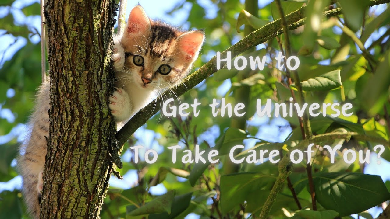 How to Get the Universe to Take Care of You?