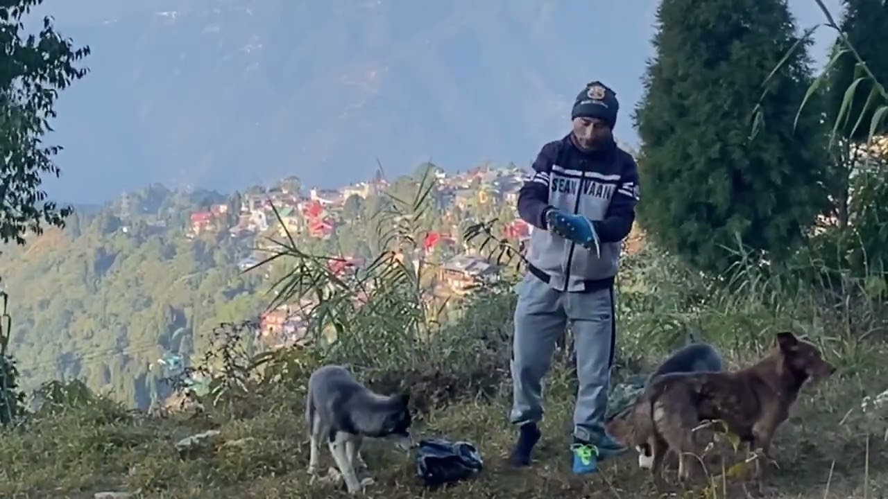 ईण्द्रेणी झरणाको भ्रमणले,दुई नानीहरू ज्यादै थाकेको कारणले आज हामी मर्निड वक नजिक कै गएर गर्नु पर्यो।
