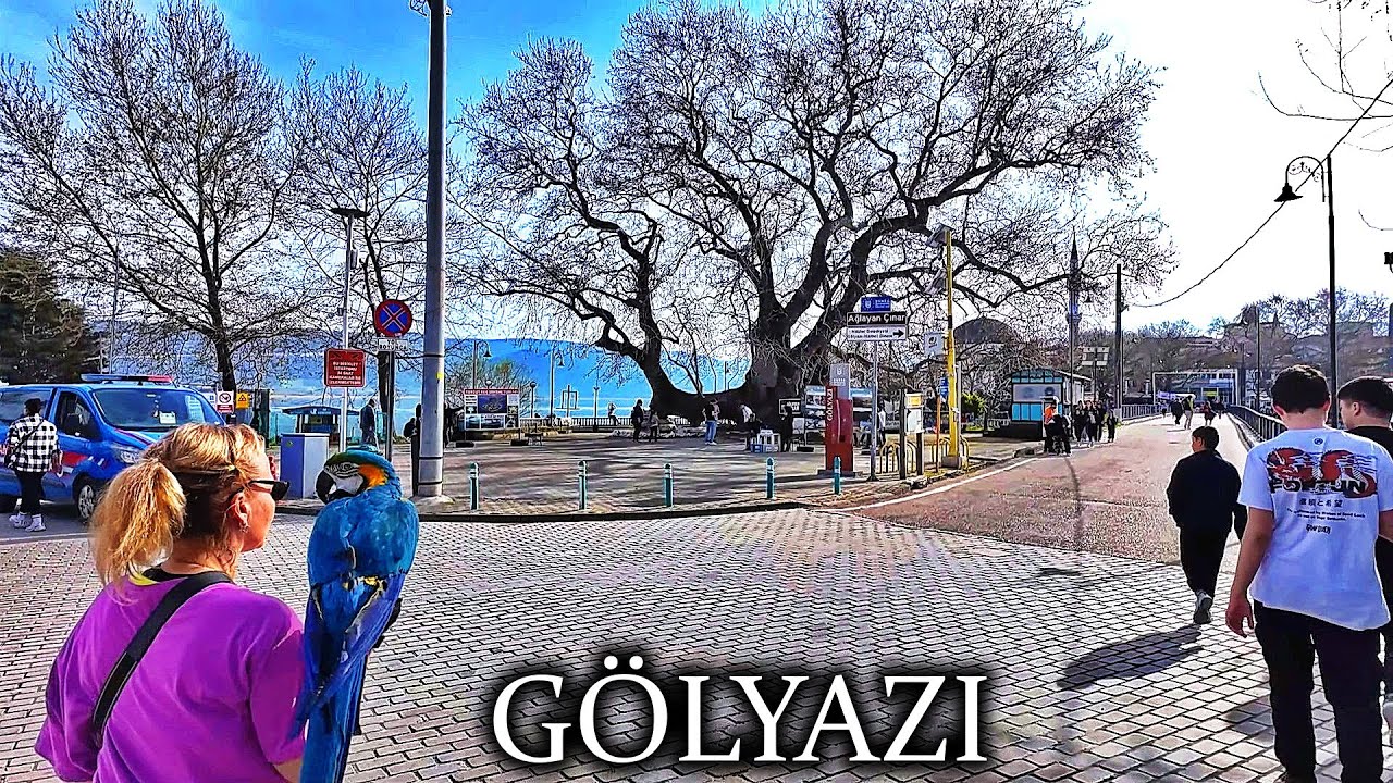 GÖLYAZI - 750 YILLIK AĞLAYAN ÇINAR - BURSA'DA BİR ADA KÖY - BURSA CITY WALKING TOUR - BURSA VLOG