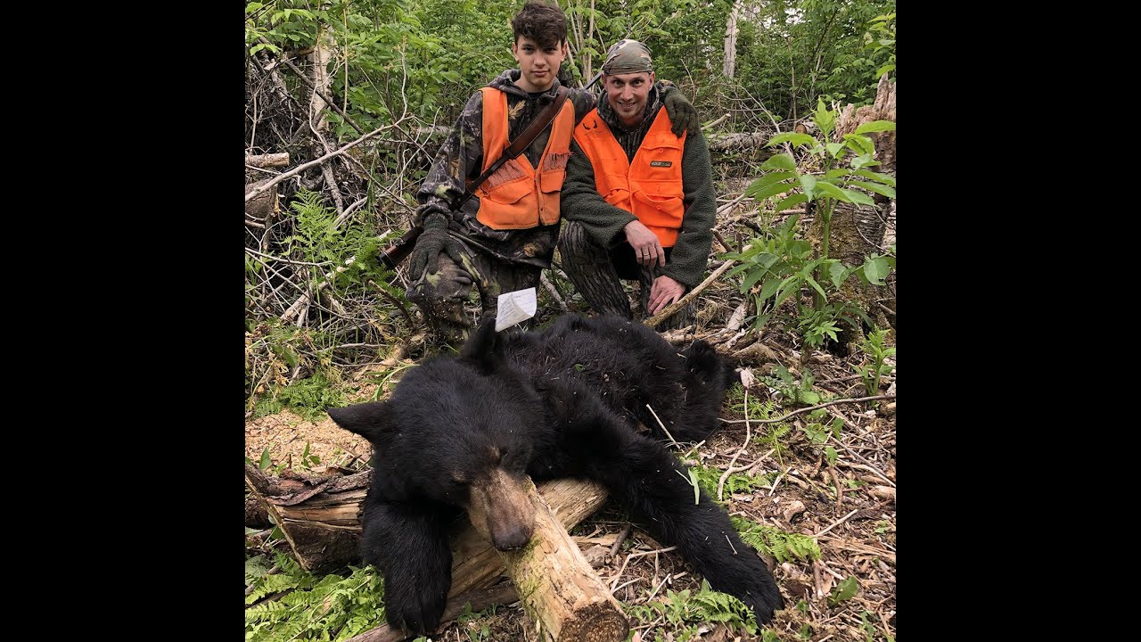Chasse ours 2020 (1ere partie)