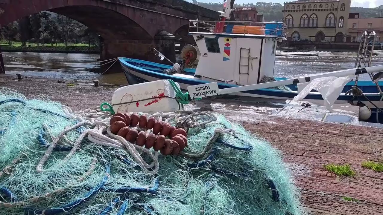 Bosa