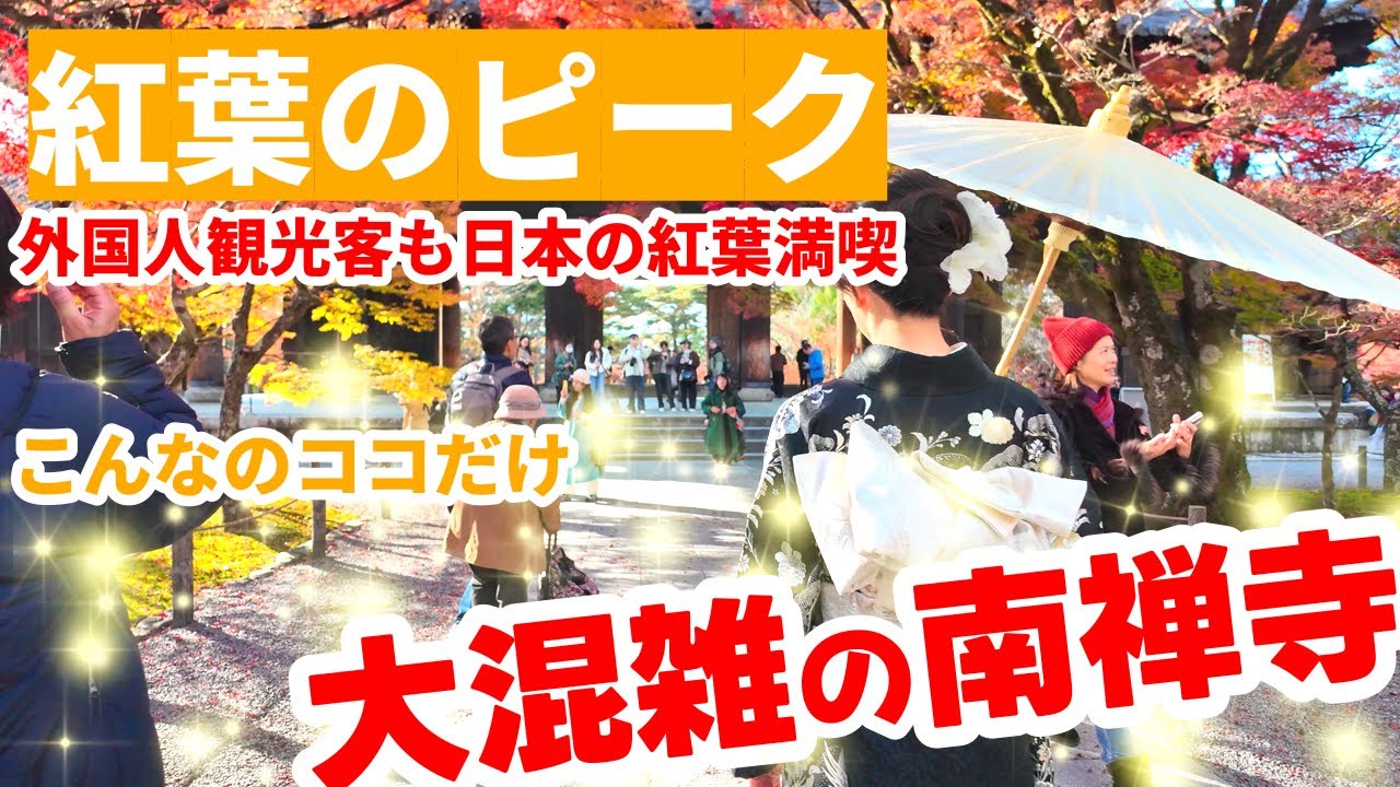 11月28日もみじが色鮮やかな南禅寺の絶景🍁『紅葉のピーク迎える京都』KYOTO JAPAN WALK 4K