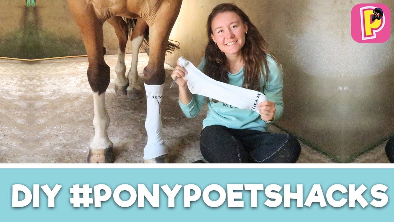 Houd je pony schoon met lifehacks van Felinehoi! | DIY | Penny TV