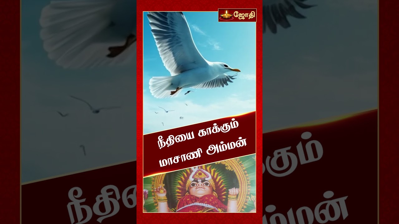 மாசாணி அம்மன் நீதியை காக்கும் தெய்வம் | Pollachi Masani Amman Temple varalaru | Jothitv